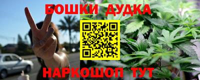 эйфоретик Кингисепп