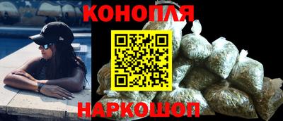 эйфоретик Кингисепп